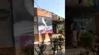 snake house in lahore zoo #whatsappstatus #nature #reels #vm #animals #terebin