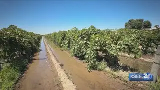 How will new 2026 laws impact the ag industry in the Central Valley?