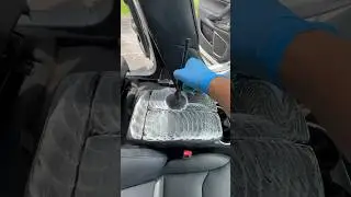 Detailing Brushes #detailing #howtodetail #asmr #satisfying #carcare