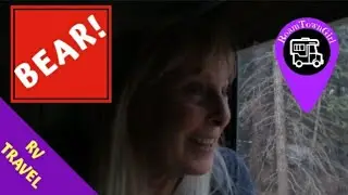 BEAR RIGHT OUTSIDE MY RV!! / RV LIFE