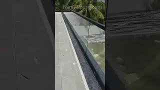 Black Aluminium Glass Railing | Classy & Unique Home Design