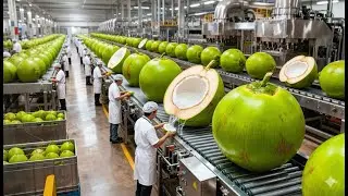 Dentro de una moderna planta procesadora de sandía: De melones enteros a jugo rojo dulce