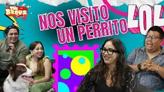 🐶💪 Todo sobre Inanna y c&oacute;mo educar a tu perrito en casa |  THE BROUS T3E3