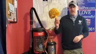 Effective Spider Control Solutions