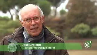 Defensa de “Los Cabezos de Huelva” por los ciudadanos