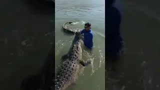 Man Vs Crocodile | man fight with crocodile #ytshorts #shortsfeed #shortsvideo #crocodile #struggle