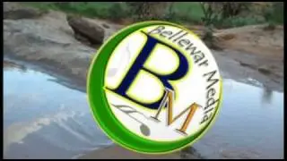 BellewarMedia