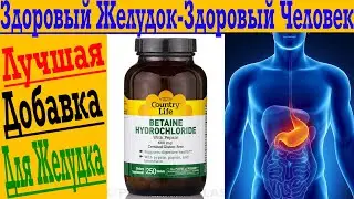 Здоровый Желудок - Здоровый Человек ! Лучшая добавка для усвоения пищи!