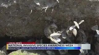 National Invasive Species Awareness Week