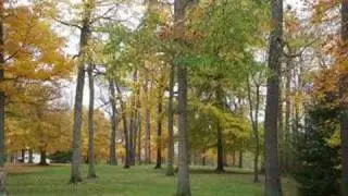 Midwest Fall Colors