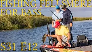 Crazy Bass Fishing in the Headwaters in Florida!