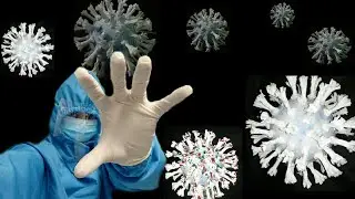 VIRUS MODEL CRAFT / LESSON FROM COVID-19