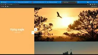 Split Screen Responsive Slider | HTML,CSS,Jquery