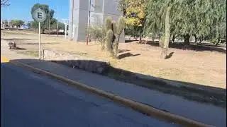 13 de noviembre de 2025