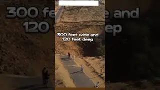 #rajasthan #bikaner #shorts #news #viral #trending #popular #agniveers #animals #jaipur #motivation