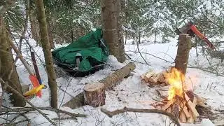 Вечерние посиделки в тайге у костра                       там где ходят козлы.