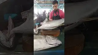 Wow, amazed to see a tuna expert processing a 30 kilogram tuna at Jempur market. #fish #fishcutting
