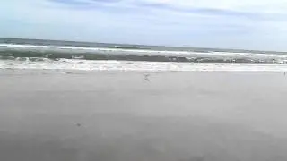 Butler Beach, Florida, January 25, 2012