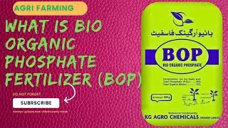 BOP Fertilizer | Bio organic phosphate Fertilizer | Agri Farming