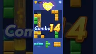 2677 IvyColorBlock JP DSQ - Последовательные выбывания 1 - 20260202