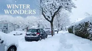 ❄️❄️❄️ WINTER WONDERS: EXTREME SNOW STORM in CANADA