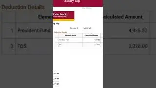 IBPS Po Latest Salary Slip || Bank PO Salary || PNB Po Salay|| AUGUST 2022 Bank Po salary