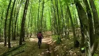 Bike trip 10.05.2025 - Bulzestii de Sus - Muntele Gaina(cruce)