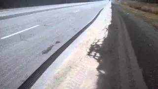 MOV05179.MPG АЛАГИРСКИЙ ВОЛК