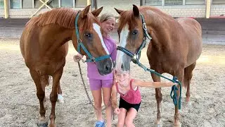 Wir kaufen ein neues Pony 