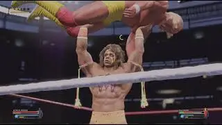 Wrestemania VI