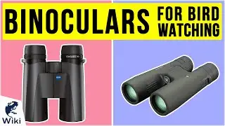 10 Best Binoculars For Bird Watching 2020