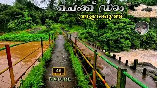 വാളറകുത്ത്, ചെക്ക് ഡാം | Valara kuthu Check Dam | Rain Waterfalls, Idukki, Nature, vMv Travel Vibes