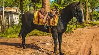Vaquero's Ride Horse Mount Gameplay (Far Cry 6) HD