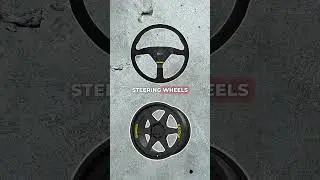 Did Momo perfect the steering wheel?! #shorts