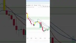 Trading report || 14th October 2025