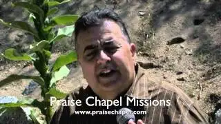 Middle East Mission