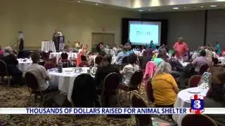 Thousands raised for Stokes County Animal Shelter