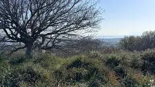 Running in Teos Ancient City | Calm Ruins, Alert Dogs