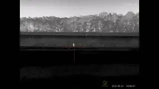 Mars Oneleaf mars Mt1000 50mm lrf Michigan Coyote Hunt 