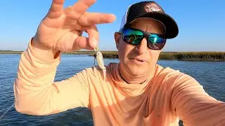 Redfish and Trout Can't Resist Summer Time Shrimp Patterns!