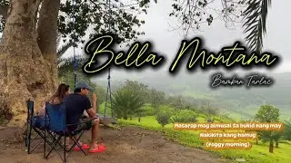 Bella montana fruit farm