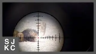 I Shot a Lion on a Safari but don't hate me!