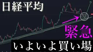 🚨緊急！買い場がきています。日経平均株価/Ni225