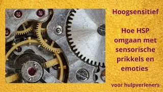 Hoe hoogsensitieve personen omgaan met sensorische prikkels en emoties