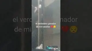video m&iacute;o de TikTok ovio