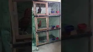 Aseel setup#short #viral #trending #subscribe