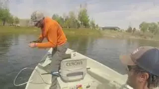Fly Fishing 
