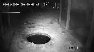 Izzy At Playing After Dark