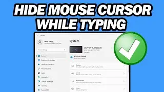 How to Hide Mouse Cursor While Typing in Windows 10/11 | Step by Step
