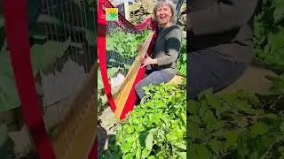 Sunita Staneslow: The Art of the Phrase at the Harp Gathering in North Carolina 2024